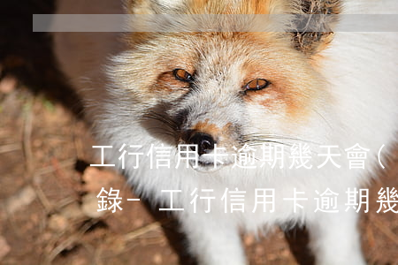 工行信用卡逾期幾天會(huì)上征信記錄-工行信用卡逾期幾天會(huì)上征信記錄嗎