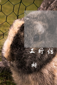工行信用卡逾期幾天會(huì)起訴 今年新規(guī)定信用卡逾期多久會(huì)起訴