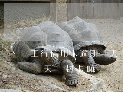 工行信用卡逾期幾天會封卡 工行信用卡逾期幾天會封卡嘛