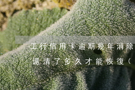 工行信用卡逾期幾年消除(工行信用卡逾期后還清了多久才能恢復(fù)使用)