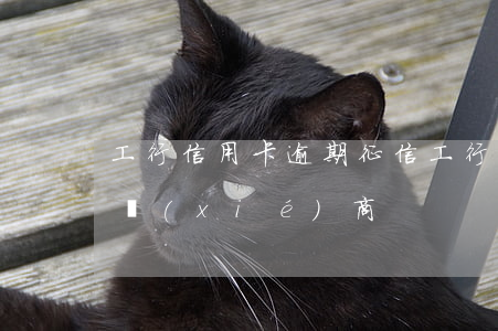 工行信用卡逾期征信(工行信用卡逾期好不好協(xié)商)
