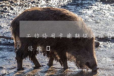 工行信用卡逾期征信撤銷(工行信用卡逾期征信撤銷)