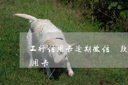 工行信用卡逾期微信還款失敗(工行 微信 還信用卡)
