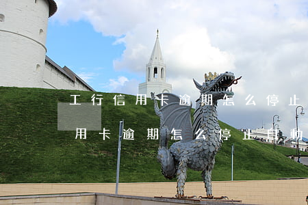 工行信用卡逾期怎么停止自動扣款-工行信用卡逾期怎么停止自動扣款業(yè)務