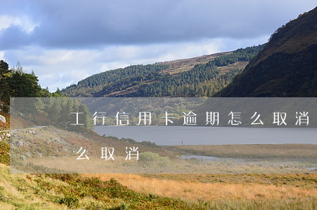 工行信用卡逾期怎么取消6(工行的信用卡怎么取消)