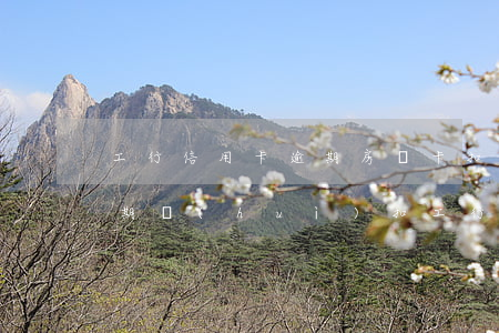工行信用卡逾期房貸卡扣了(工行的信用卡逾期會(huì)扣工行的工資卡么)