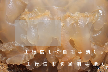 工行信用卡逾期手續(xù)費(fèi)(工行信用卡逾期手續(xù)費(fèi)怎么收取)