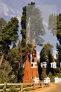 工行信用卡逾期扣儲(chǔ)蓄(工行信用卡逾期導(dǎo)致儲(chǔ)蓄卡被鎖定怎么解決)