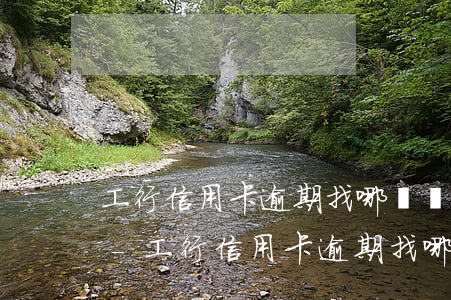 工行信用卡逾期找哪個銀行協(xié)商-工行信用卡逾期找哪個銀行協(xié)商還款