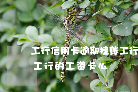 工行信用卡逾期挂账 工行的信用卡逾期会扣工行的工资卡么