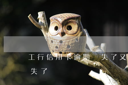 工行信用卡逾期掛失了又辦了(工商銀行卡掛失了)