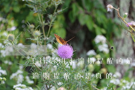 工行信用卡逾期提醒函是真的嗎 工行信用卡逾期提醒函是真的嗎還是假的