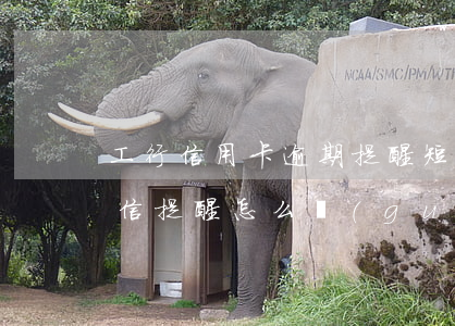 工行信用卡逾期提醒短信(工商銀行信用卡短信提醒怎么關(guān)閉)