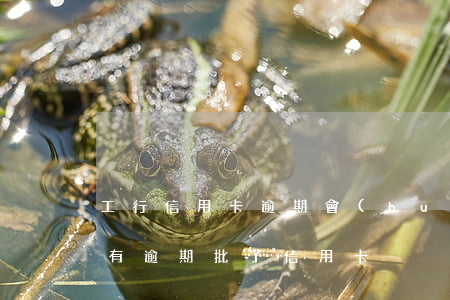 工行信用卡逾期會(huì)上門嗎-工行有逾期批了信用卡