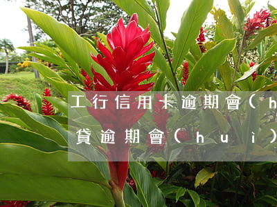 工行信用卡逾期會(huì)影響房貸么(房貸逾期會(huì)影響信用卡使用嗎)