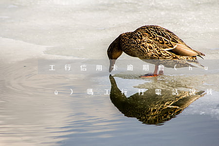 工行信用卡逾期會(huì)提醒義務(wù)嗎 工行打電話說我信用卡逾期了