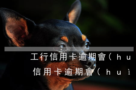 工行信用卡逾期會(huì)有提示嗎(工行信用卡逾期會(huì)有提示嗎)