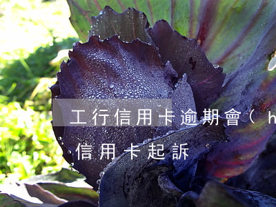 工行信用卡逾期會(huì)起訴(工商銀行信用卡 起訴)