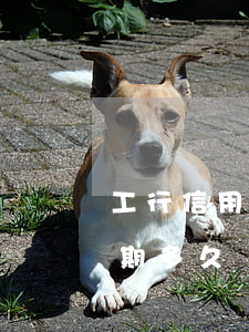 工行信用卡逾期會家訪嗎(工商銀行信用卡逾期多久會給家里人打電話)