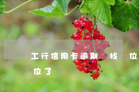 工行信用卡逾期會找單位(信用卡逾期找到單位了)