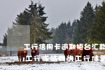 工行信用卡逾期柜台汇款(工行信用卡逾期后工行冻结我的工行储蓄卡)