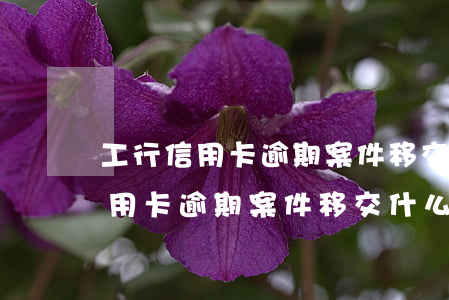 工行信用卡逾期案件移交什么意思-工行信用卡逾期案件移交什么意思啊