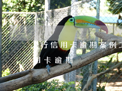 工行信用卡逾期案例(工行銀行卡鎖定了說信用卡逾期)