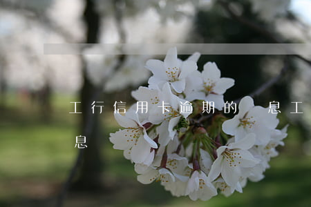 工行信用卡逾期的罰息(工行信用卡逾期的罰息)