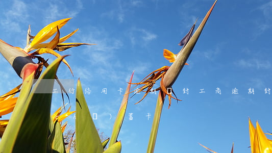 工行信用卡逾期給封(工商逾期封了我的儲(chǔ)蓄卡)