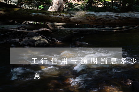 工行信用卡逾期罰息多少(信用卡逾期怎么罰息)