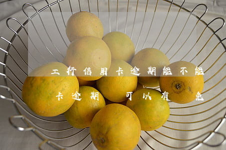 工行信用卡逾期能不能減免利息(為什么信用卡逾期還可以有減免)