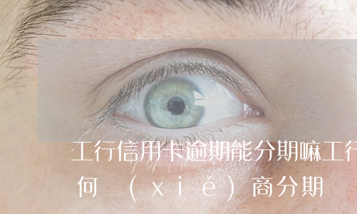 工行信用卡逾期能分期嘛(工行信用卡逾期如何協(xié)商分期)