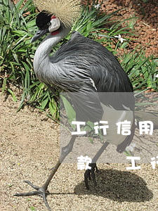 工行信用卡逾期能解除自動(dòng)扣款嗎(工行信用卡逾期能解除自動(dòng)扣款嗎)