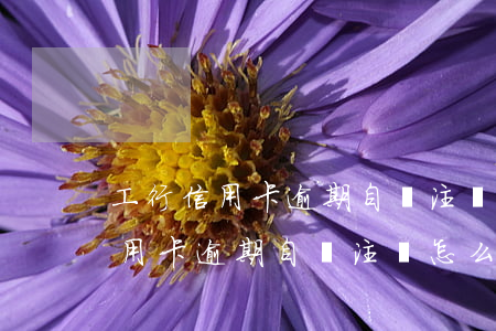 工行信用卡逾期自動注銷怎么還款-工行信用卡逾期自動注銷怎么還款啊