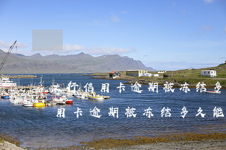 工行信用卡逾期被冻结多久能解封-工行信用卡逾期被冻结多久能解封啊