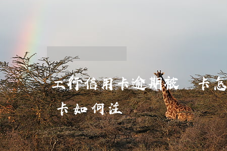 工行信用卡逾期被銷卡怎么還款 工行的信用卡如何注銷