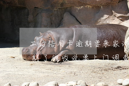工行信用卡逾期要来家访(工商银行信用卡逾期了,催收说要上门调查)