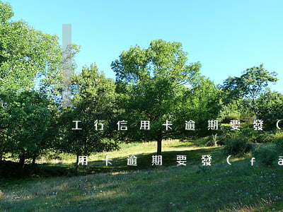 工行信用卡逾期要發(fā)的短信(工行信用卡逾期要發(fā)的短信)