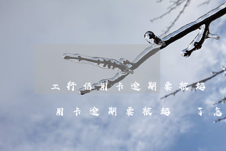 工行信用卡逾期要被起訴了怎么辦-工行信用卡逾期要被起訴了怎么辦呢