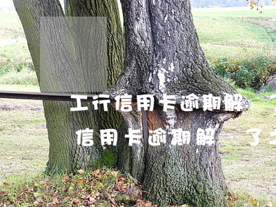 工行信用卡逾期解凍了之后,又被鎖了-工行信用卡逾期解凍了之后,又被鎖了怎么辦