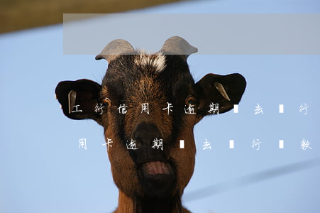 工行信用卡逾期讓去銀行還款可以嗎（工行信用卡逾期讓去銀行還款）