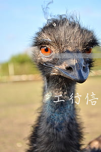 工行信用卡逾期证明-工行信用卡逾期证明