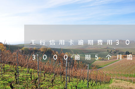 工行信用卡逾期费用3000-工商信用卡3000逾期5个月需要还多少