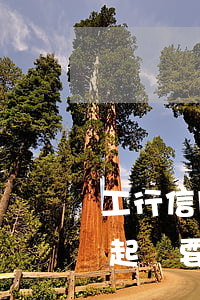 工行信用卡逾期起訴要多久(工行信用卡逾期起訴要多久)