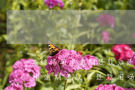 工行信用卡逾期还款后还能用吗-工行信用卡逾期还款后还能用吗