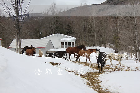 工行信用卡逾期还能查到吗(逾期的卡还了征信能查到吗)