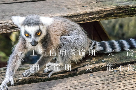 工行信用卡逾期還完還能不能用了-工行信用卡逾期還完還能不能用了呢