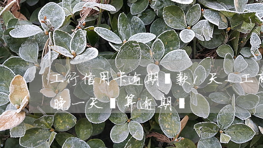 工行信用卡逾期還款1天-工商銀行信用卡晚一天還算逾期嗎