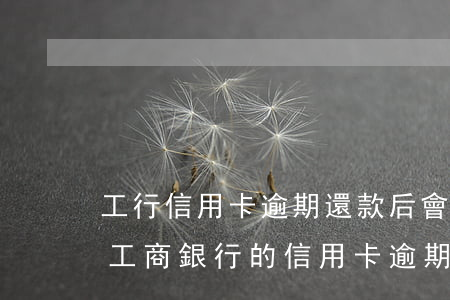 工行信用卡逾期還款后會(huì)開通嗎(工商銀行的信用卡逾期會(huì)產(chǎn)生什么后果)