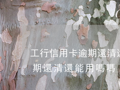 工行信用卡逾期還清還能用嗎(工行信用卡逾期還清還能用嗎嗎)